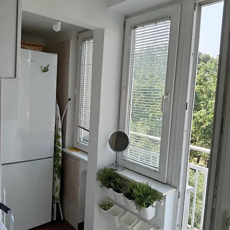 Apartment Tamara New *